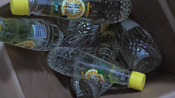 珠江啤酒菠萝啤果味饮料330mL*6罐不含酒精风味