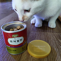 这个小罐罐你给猫猫买了吗？