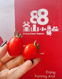 又甜又又汁的釜山小番茄