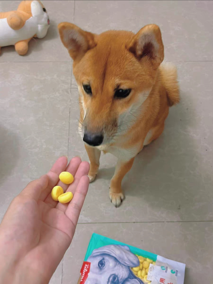 宠物牛奶/饮料