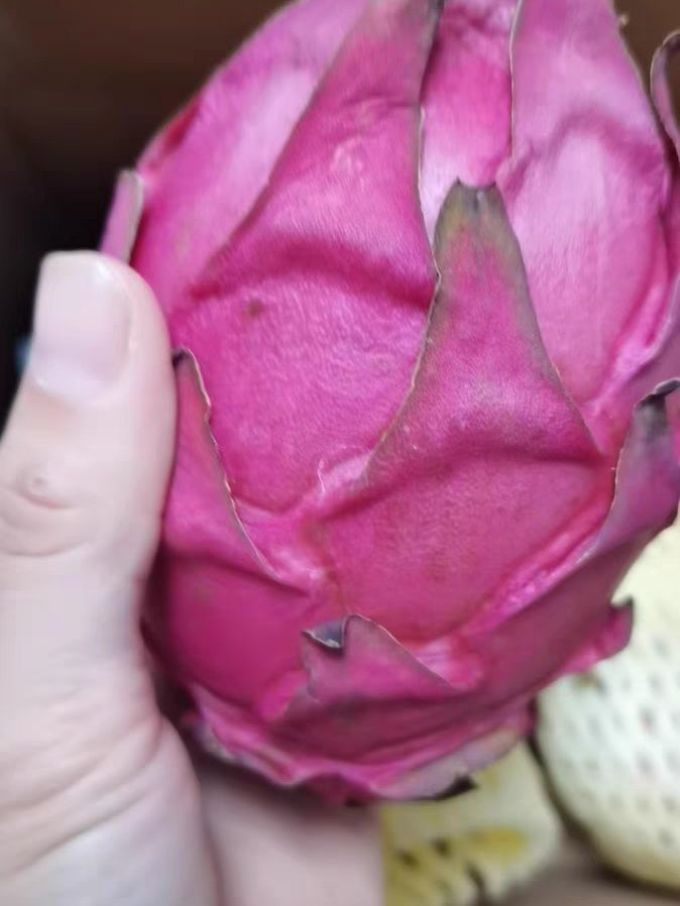 新鲜水果