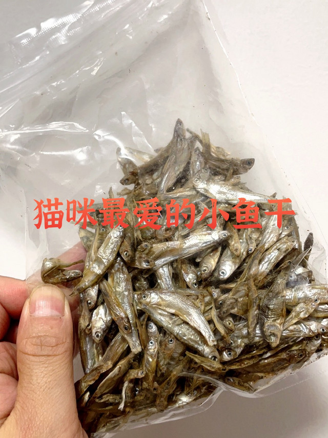 猫咪最爱的小鱼干