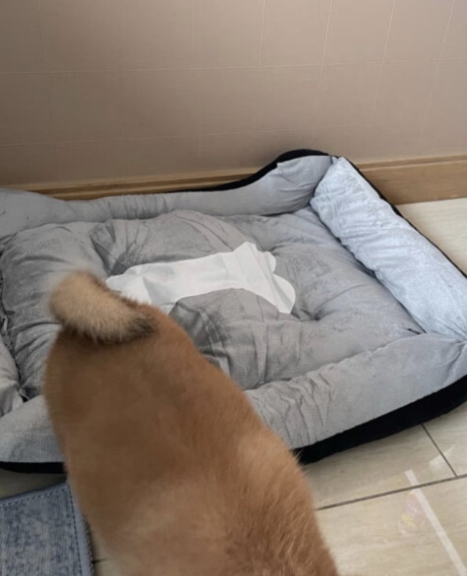 憨憨乐园通用猫狗窝