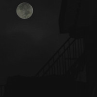 NUBOA Z50拍的月亮