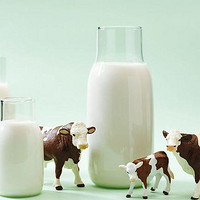低脂牛奶和全脂牛奶哪个好