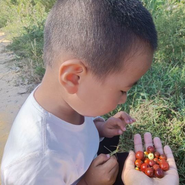 国庆长假，就我一人带娃回乡寻找秋天吗？