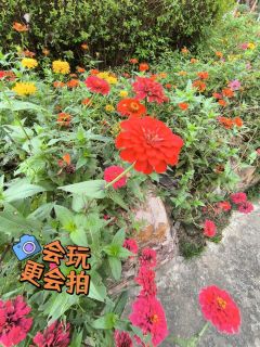 真不是说红米不行，2亿像素真一般哎