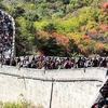 人在路上 门票没了！注意别跑空！国庆 国内旅游火爆 海外旅游任处冰封解冻期