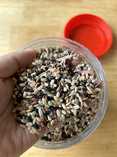 朋克养生主食——糙米