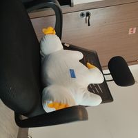 白色大鹅