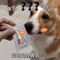 狗狗身上有蜱虫怎么办？？千万别乱来