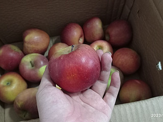 又红又甜还新鲜，大凉山丑苹果开箱分享