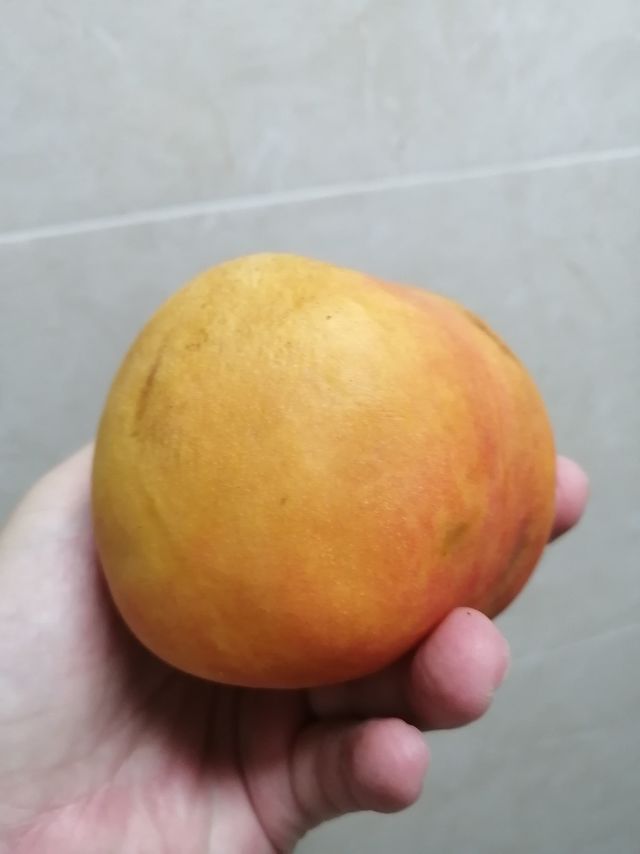就喜欢吃放软的黄金油桃
