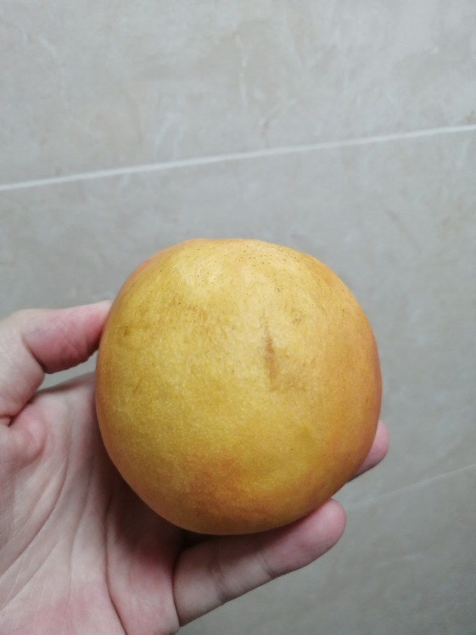 其他水果