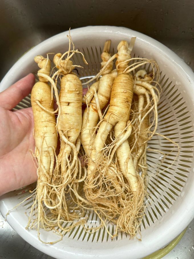 基础健康