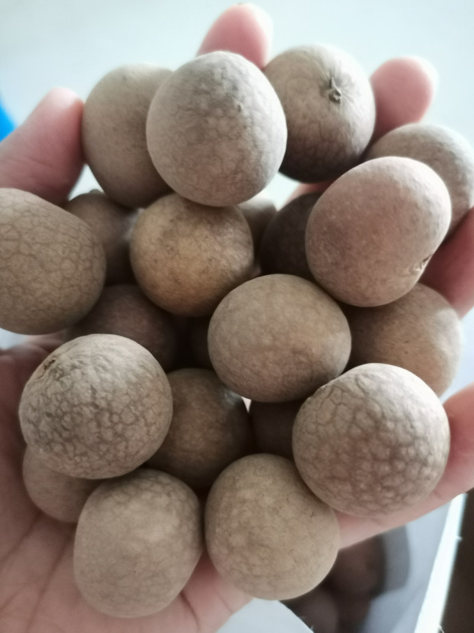 珍锦荟红枣桂圆