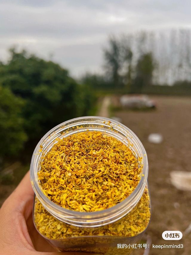 桂花茶