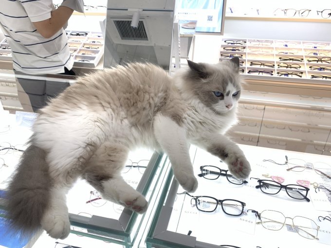 鼠标