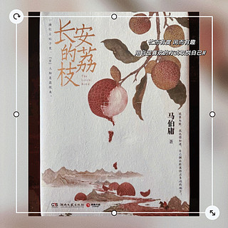 《长安的荔枝》