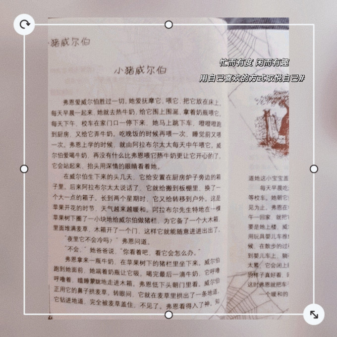 福建科学技术出版社少儿读物
