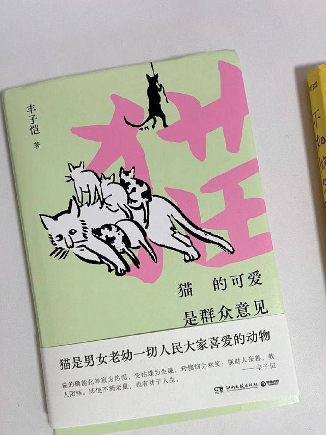 不如坐只猫狗