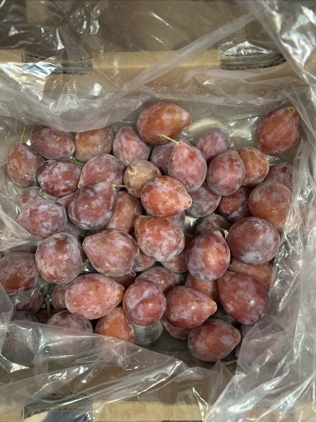 中秋过节必备：新疆喀伽师西梅