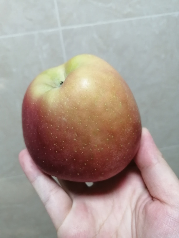 昭通苹果苹果