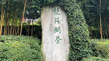 闪游杭州之问茶龙井村