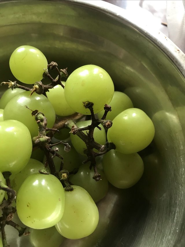 旧时王唐燕，飞去百姓家