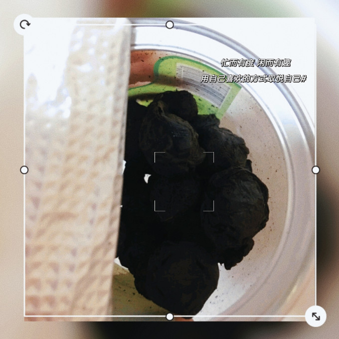 同仁堂功能营养