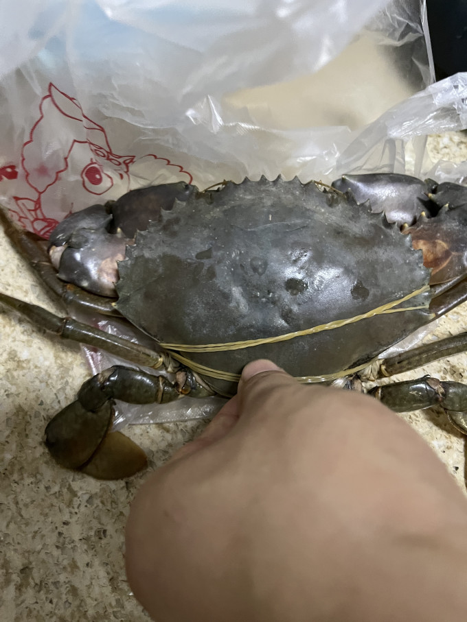 海鲜水产