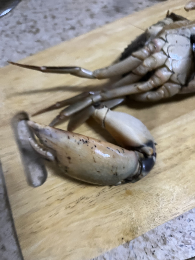 海鲜水产