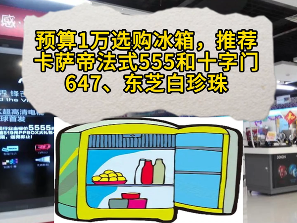 预算1万选购冰箱,推荐卡萨帝2款和东芝1款