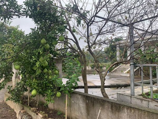 长假压马路在乡间