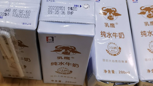 第一次品尝水牛酸奶