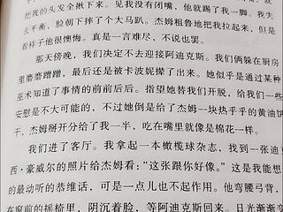 《杀死一只知更鸟》：一部揭示人性与社会复杂性的经典之作