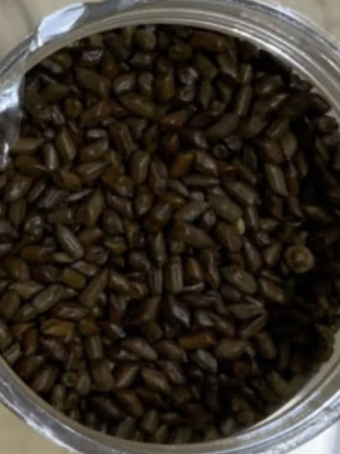 茶类