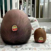 宝子们来买🥝，小的猕猴桃🥝三块钱💰，大的不卖🤣🤣🤣🤣