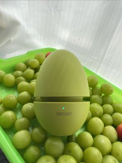自从有了这颗“蛋”，冰箱愈发的重口味了❗