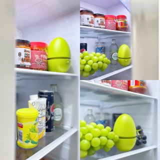自从有了这颗“蛋”，冰箱愈发的重口味了❗
