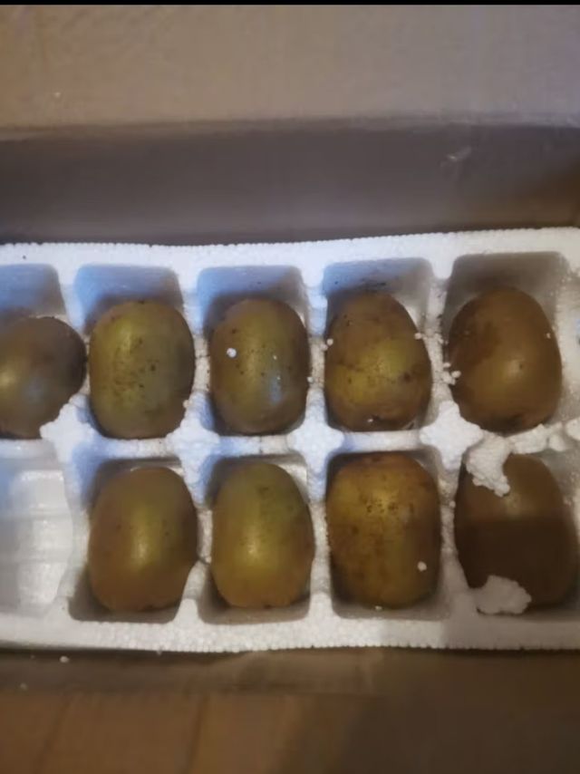 中秋节吃点水果