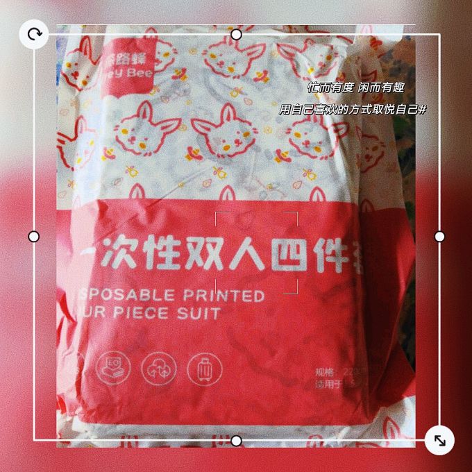 探路蜂枕套