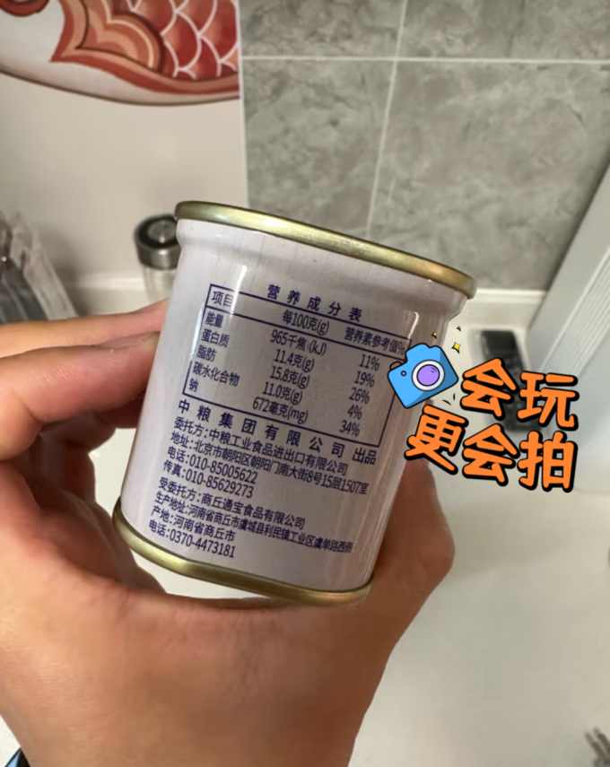 梅林肉类罐头