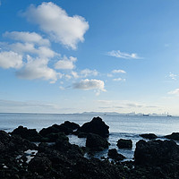 海边一日游+赶海收获分享！