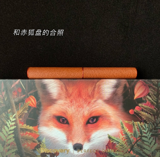 唇部彩妆