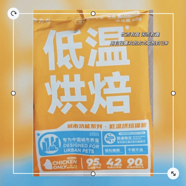 有鱼 低温烘焙