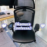 奥卡姆拉Contessa2 人体工学椅中的大家闺秀