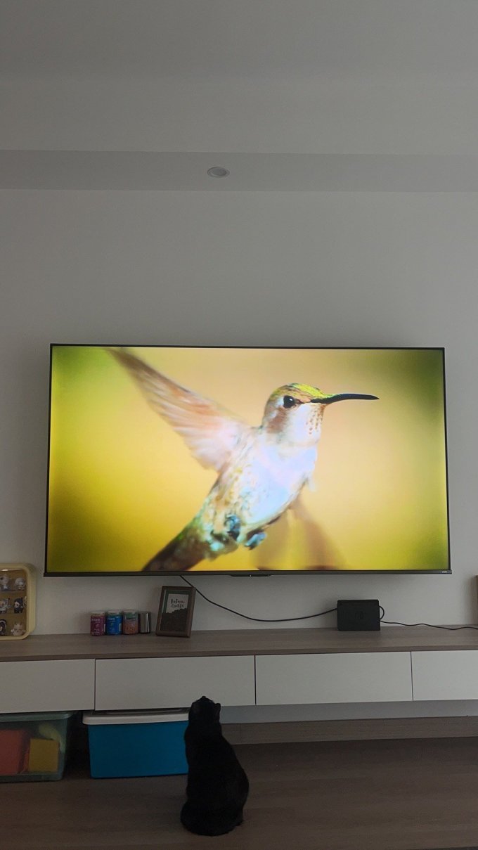液晶电视