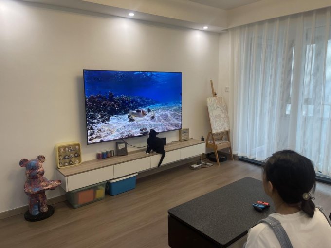 液晶电视