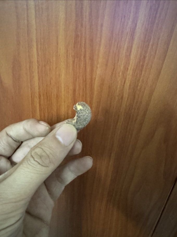 腰果